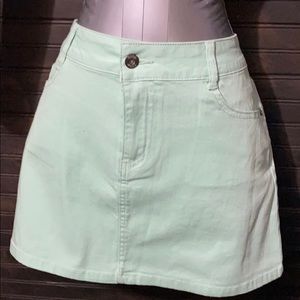 Mint mini skirt